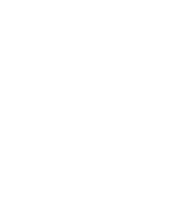 Vita Attiva